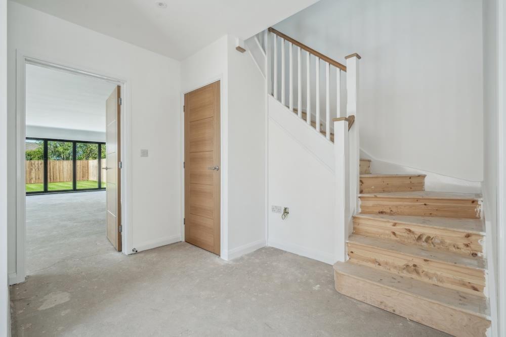 DSC06178-664e94cd5ba8dad8282a766128fa687e - 800px.