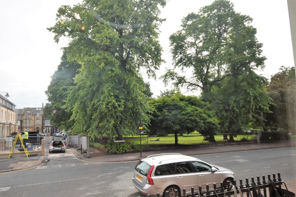 View from Living Room