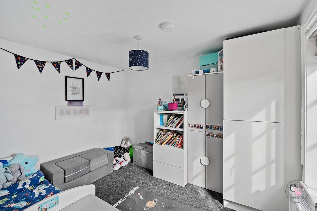 colleys lucas 1.jpeg