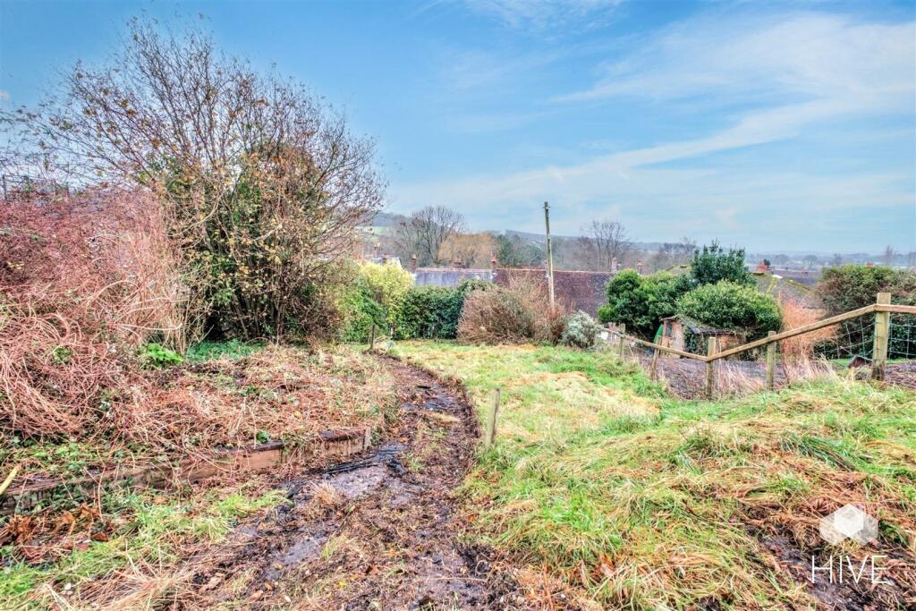 Plenty of opportunity in the garden