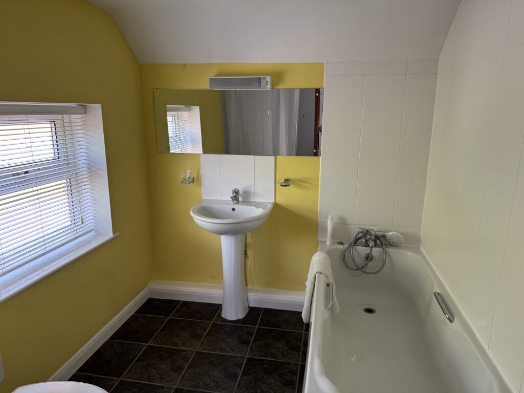 6  Medium  T202508061631.jpg