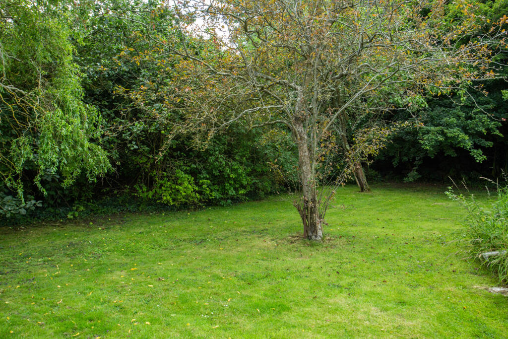 Picture 17