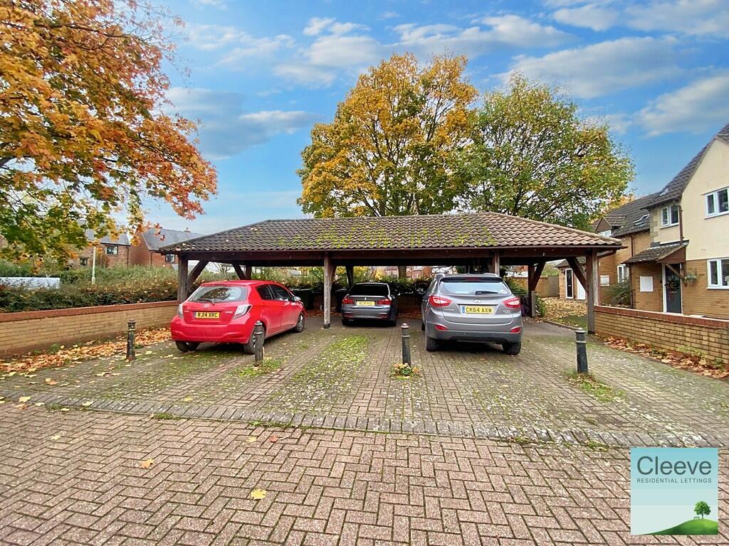 IMG-20241029-WA00...