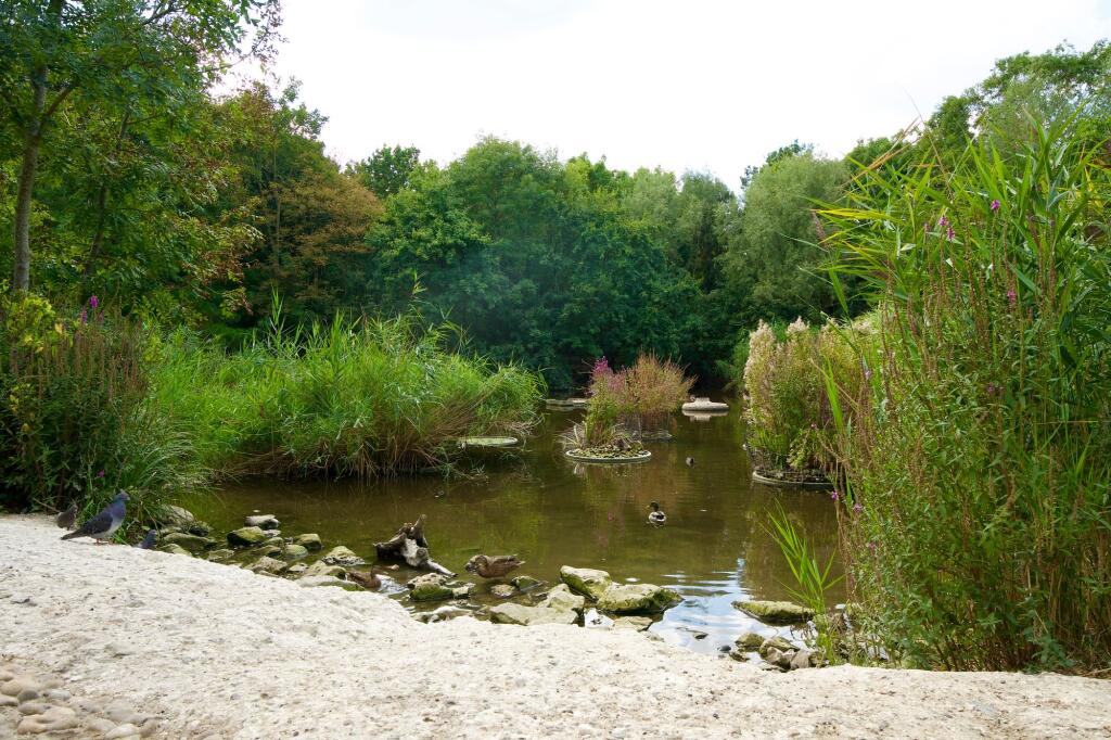 Russia Dock Woodland