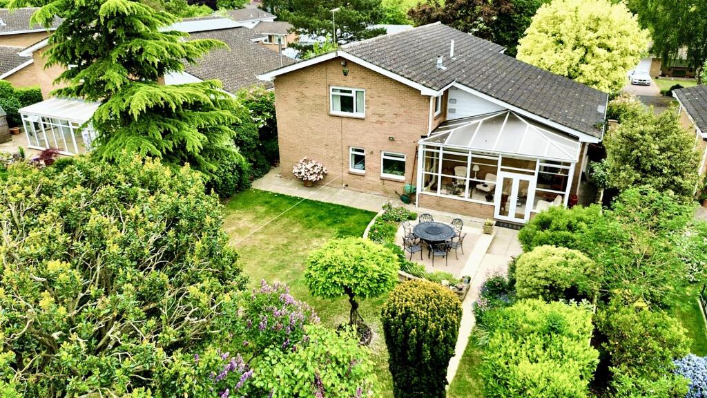 dji_fly_20250503_202710_689_1747322649949_photo_op