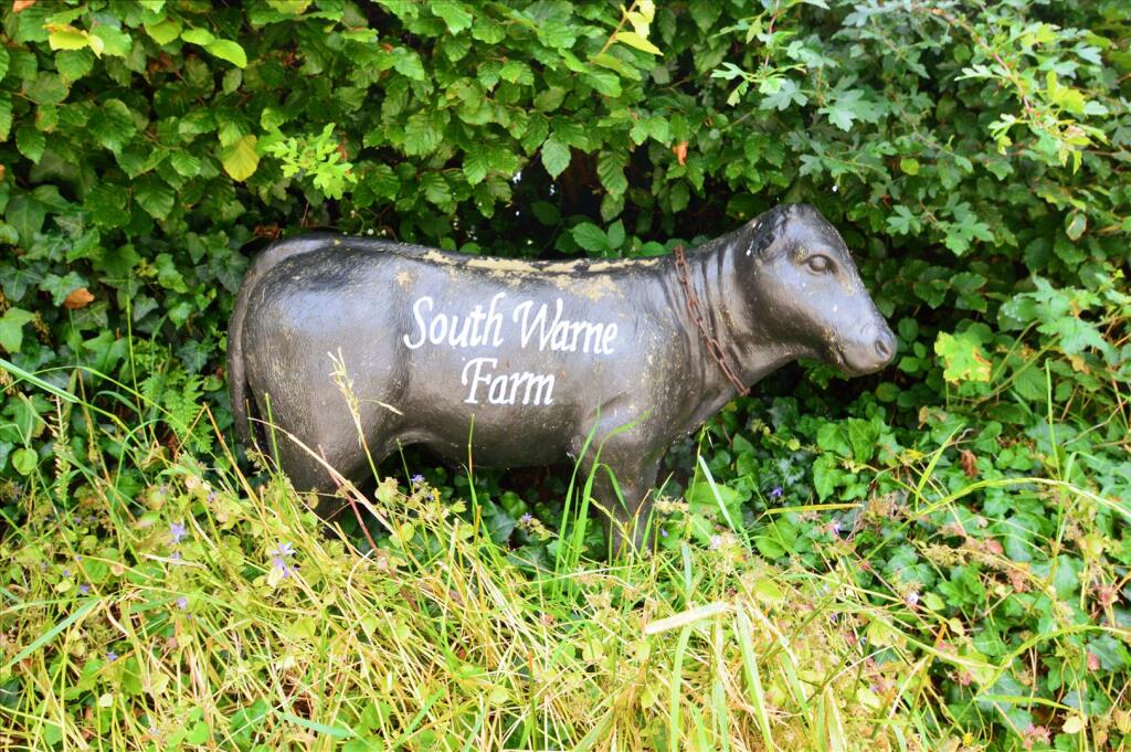 South Warne
