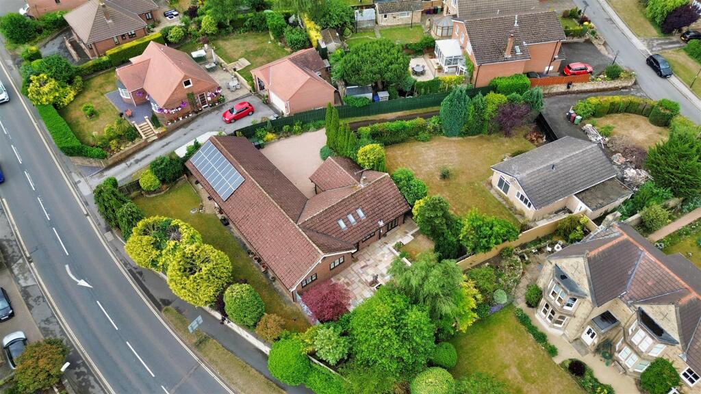 DJI_0008.jpg