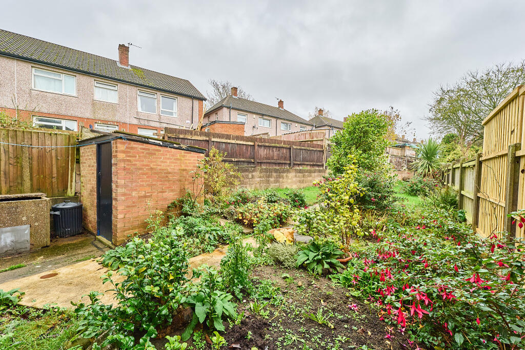 P1615806 T202511111714.jpg