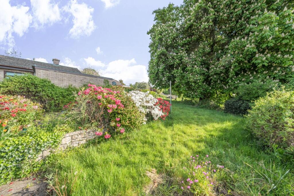 Garden.jpg