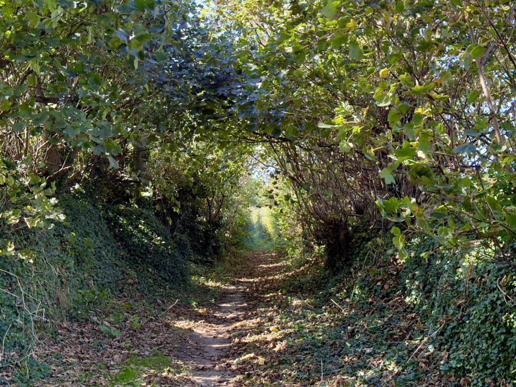 BRIDLEWAY TO LOWER REEN