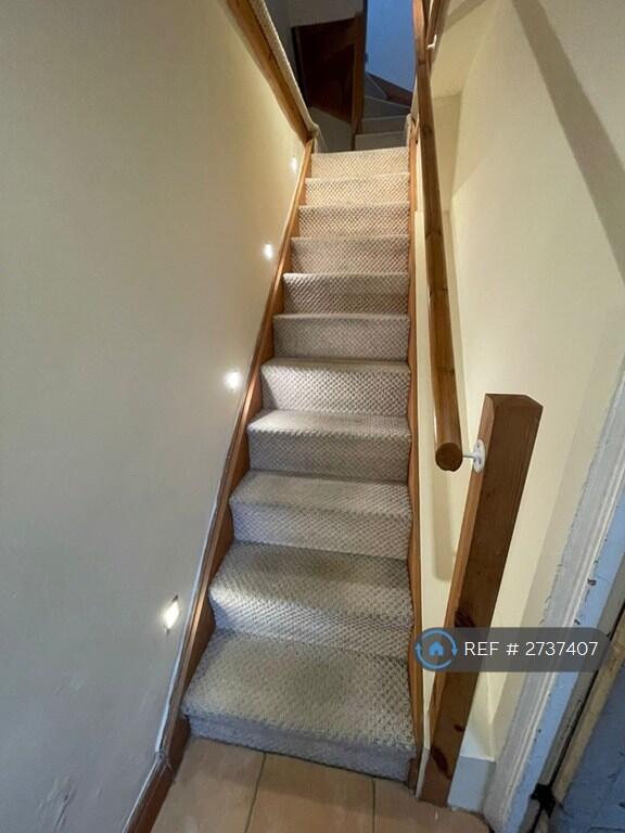 Entrance Stairs