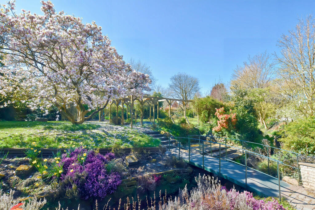 Spring Garden 1