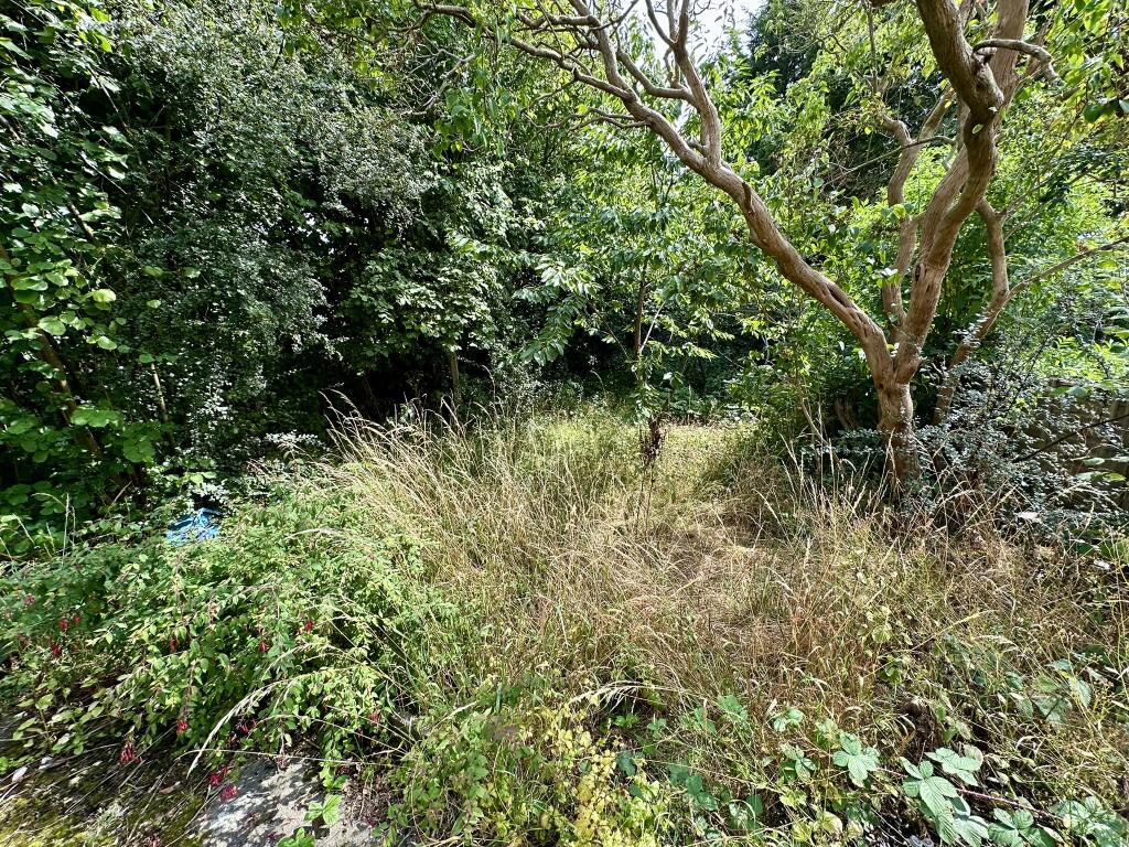 IMG 3077 T202507301745.jpeg