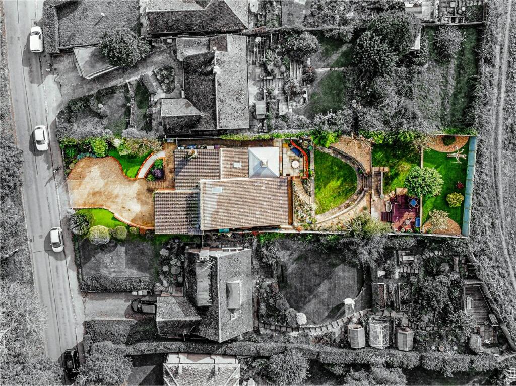 Birdseye