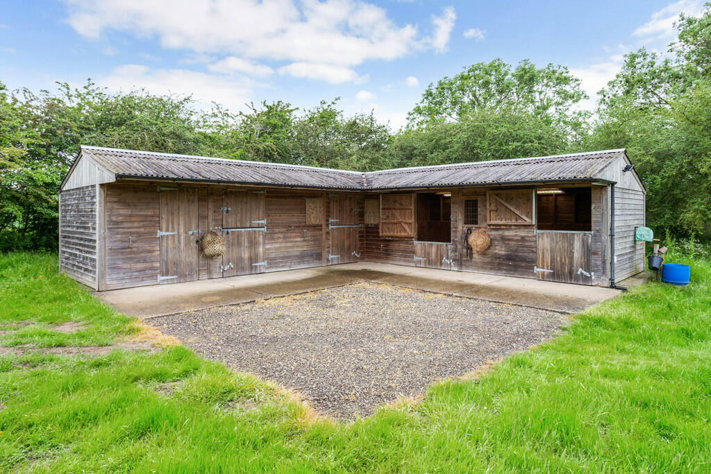 71431_The-Dairies...