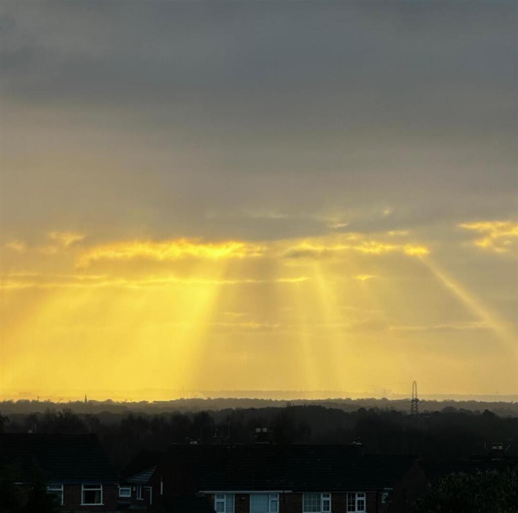 87e1a137-1248-44e2-9a0d-35b66471b9e4 2.JPG