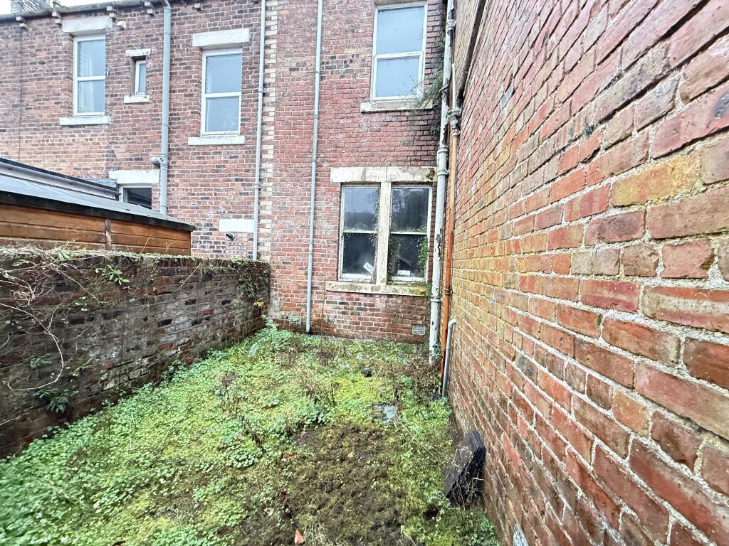 IMG 2033 T202511131557.jpg