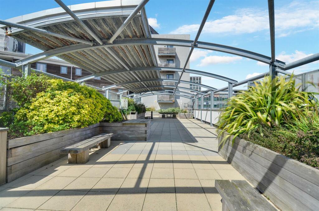 Roof Top Terrace_Pic_ (1).jpg