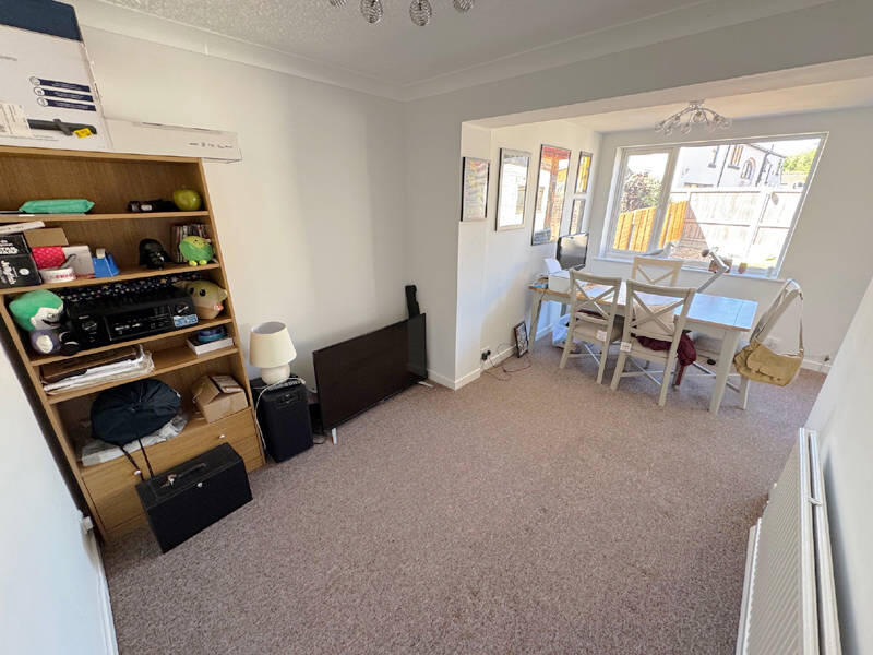 Second Reception/Snug