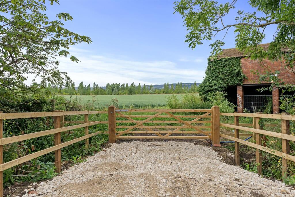 Field Views