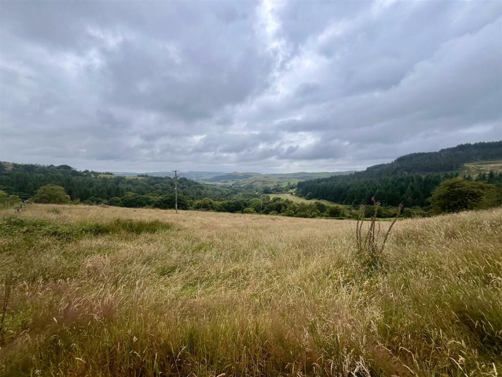 THE LAND