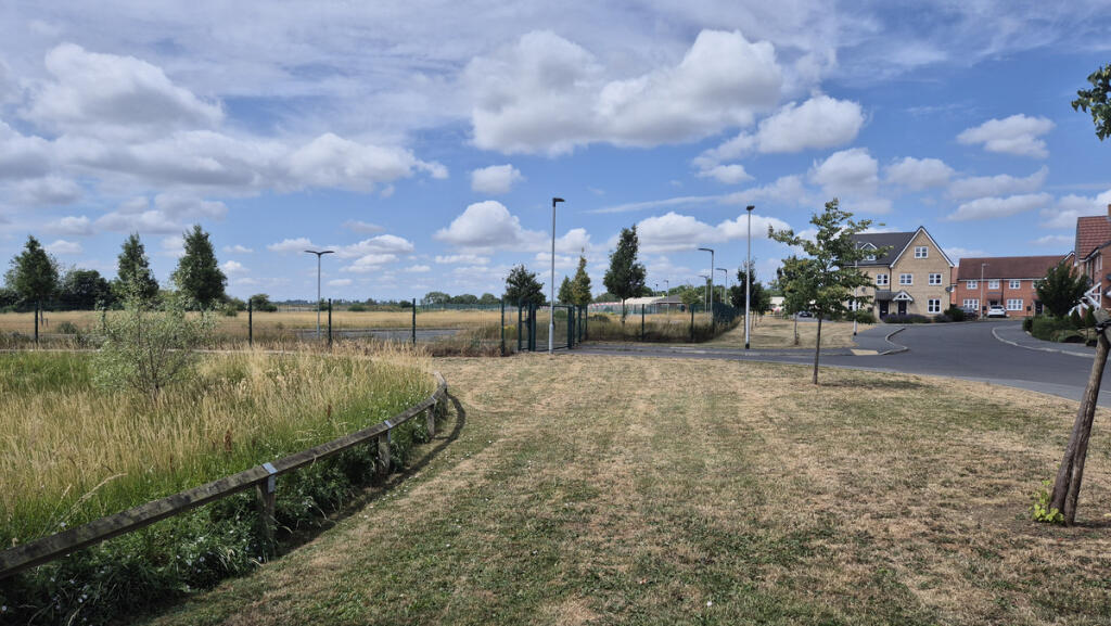 Surrounding Area
