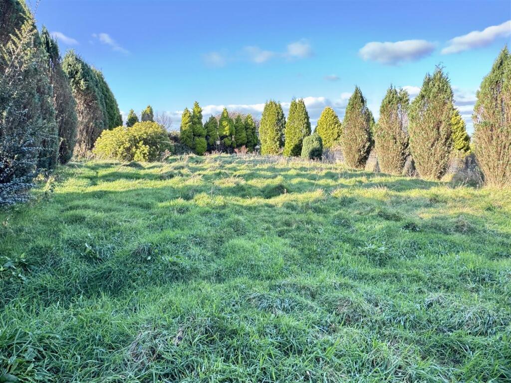 Rear Field