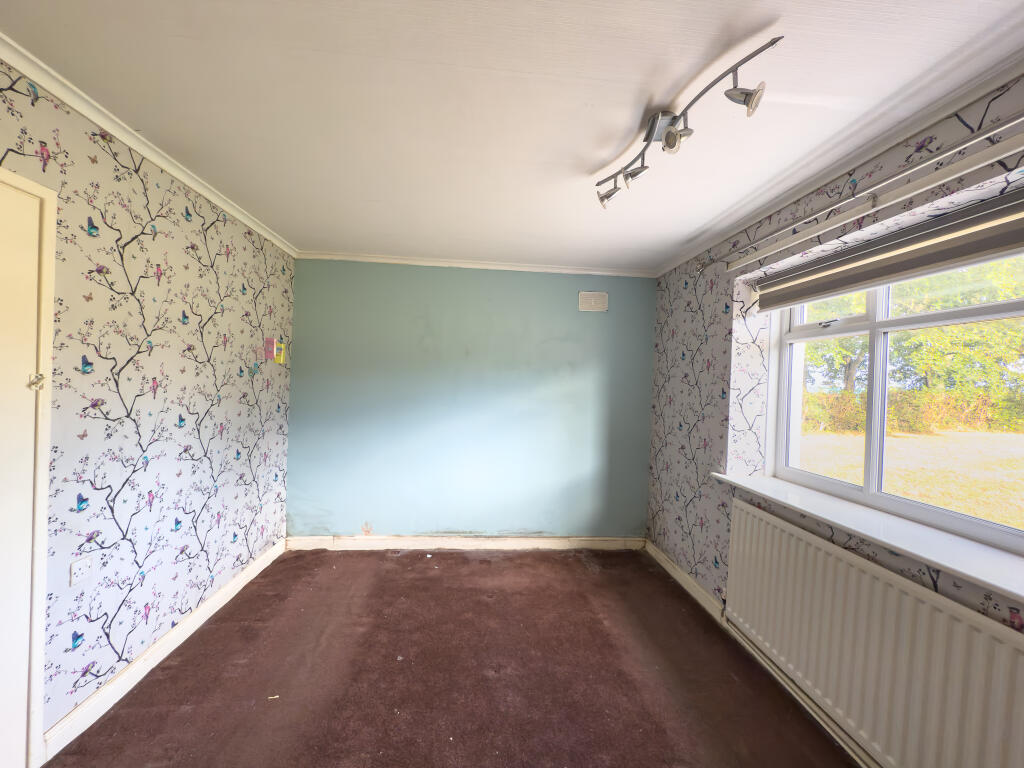 IMG 3949 T202509021251.jpg