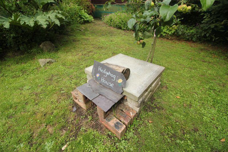 Hedgehog home