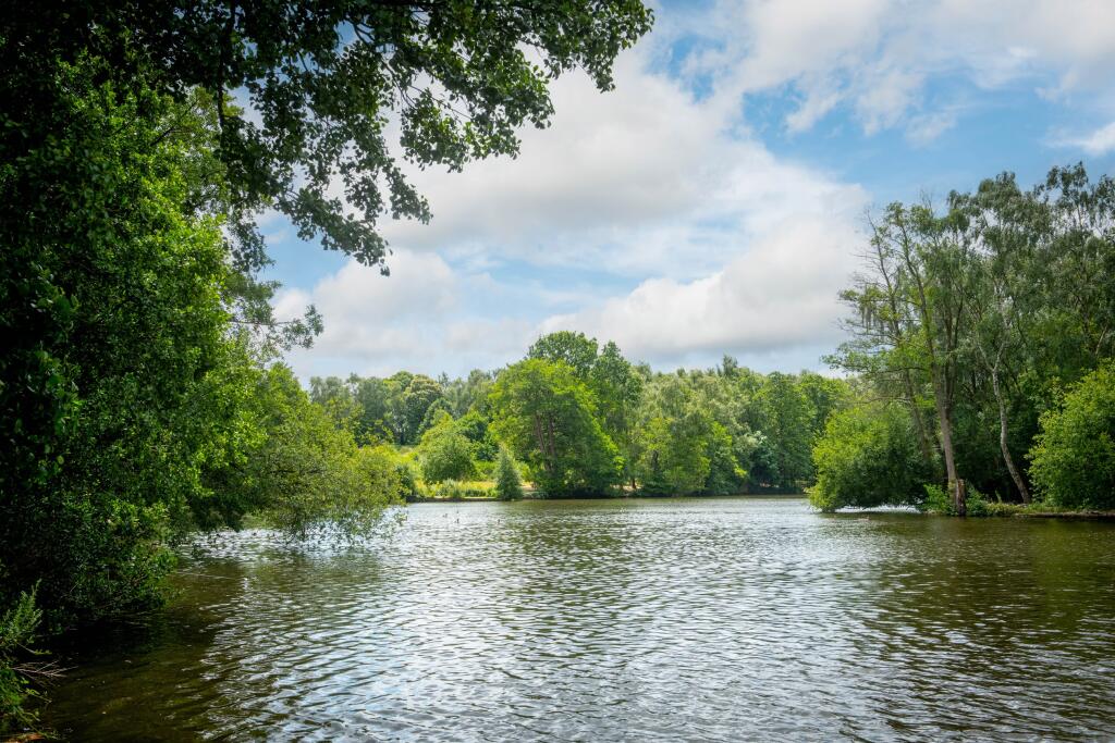 Elm Tree Park local area 1