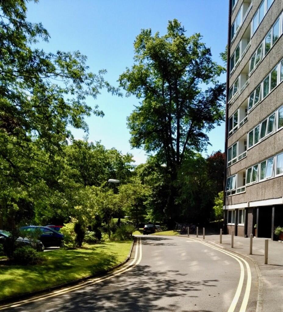 Grounds