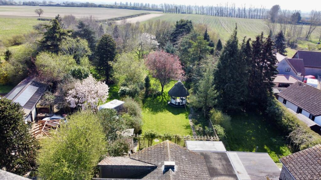 Garden Drone 1