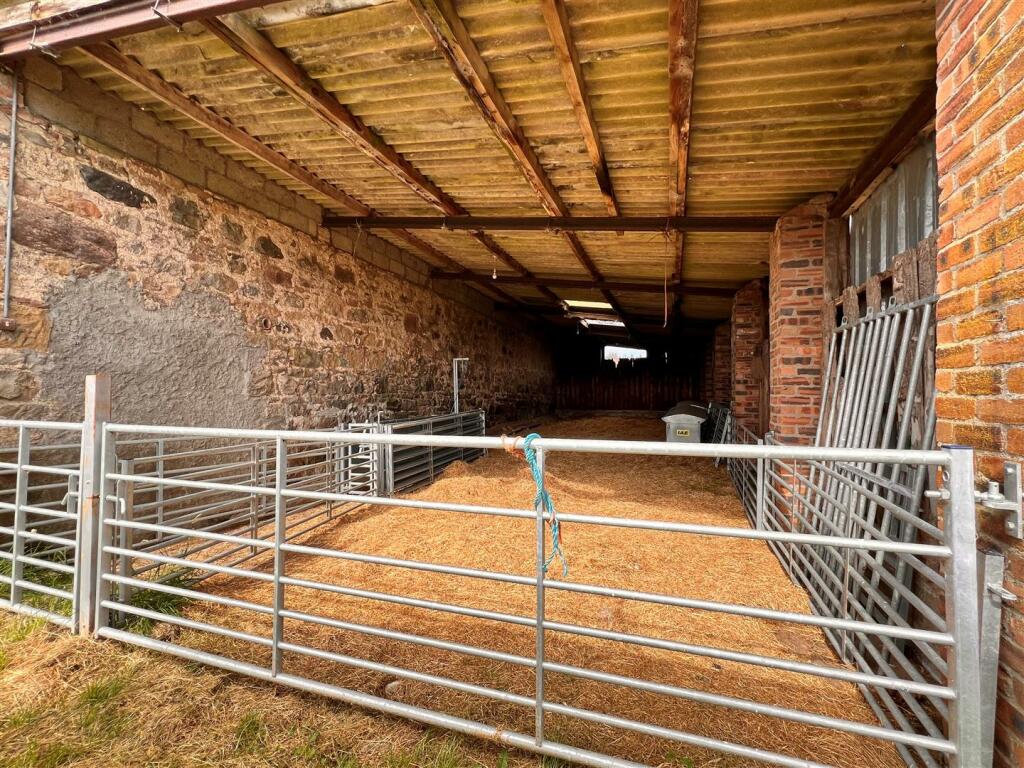 Sheep pen.jpg