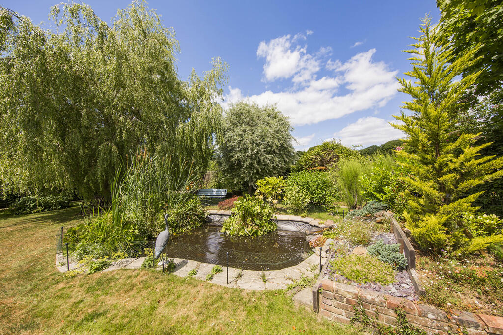 Pond