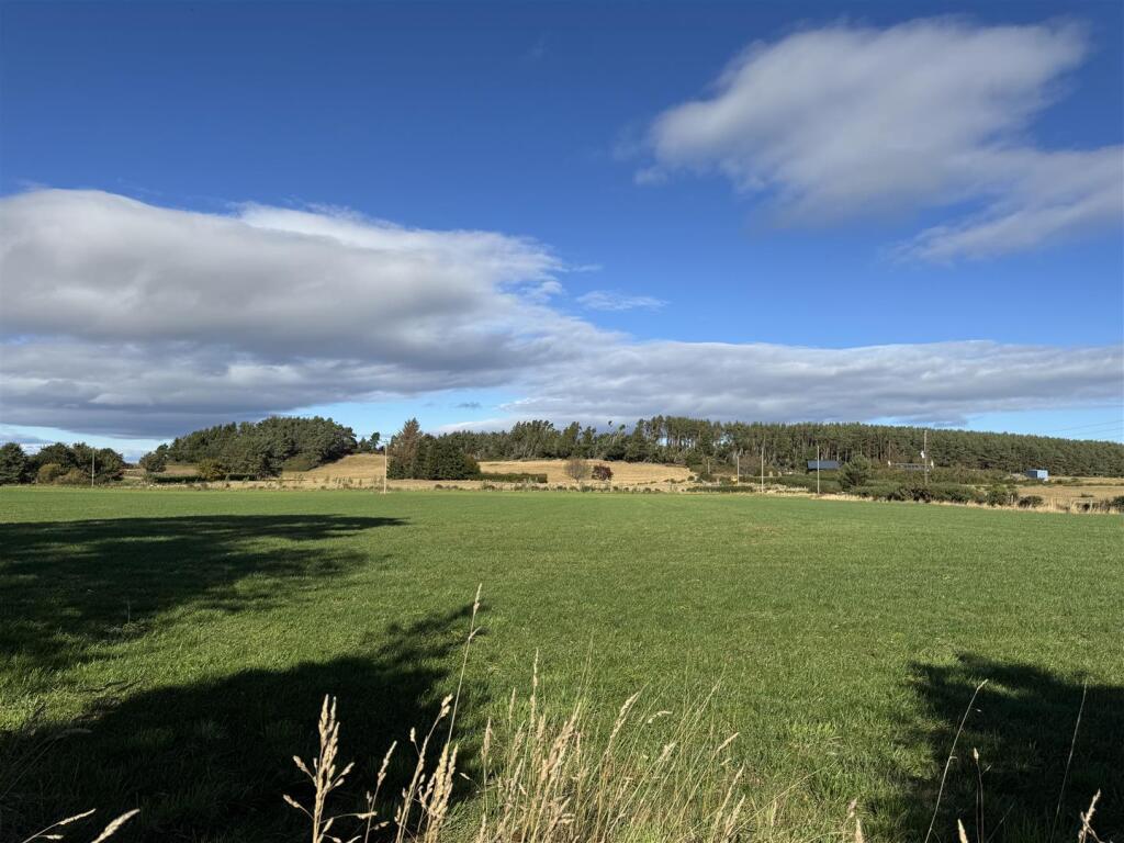 Plot 2 - Field