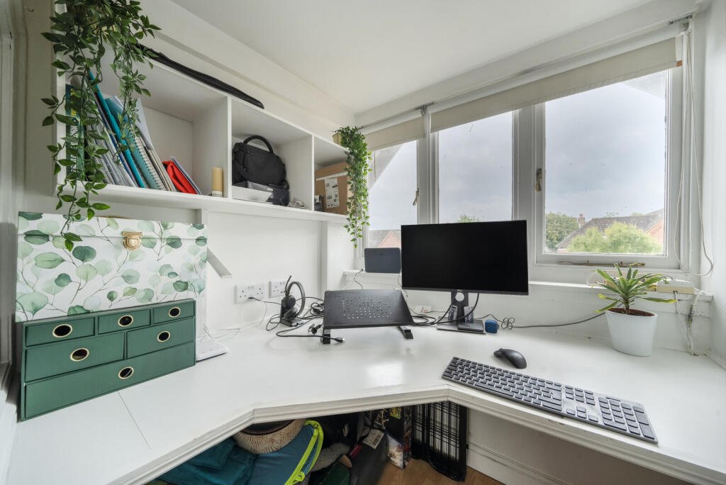 Study Area