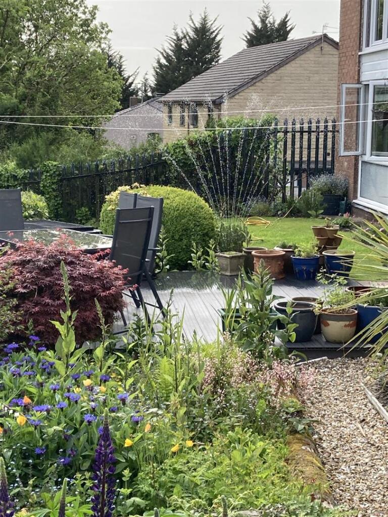 Vendor Garden Image.jpg