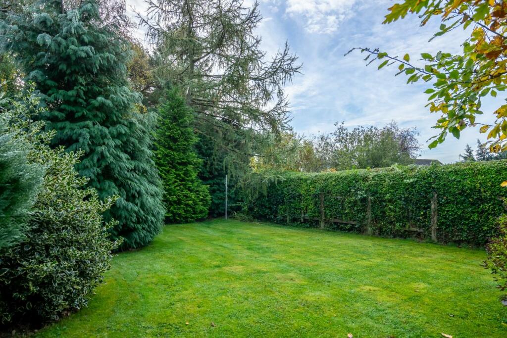 externals (5 of 6).jpg