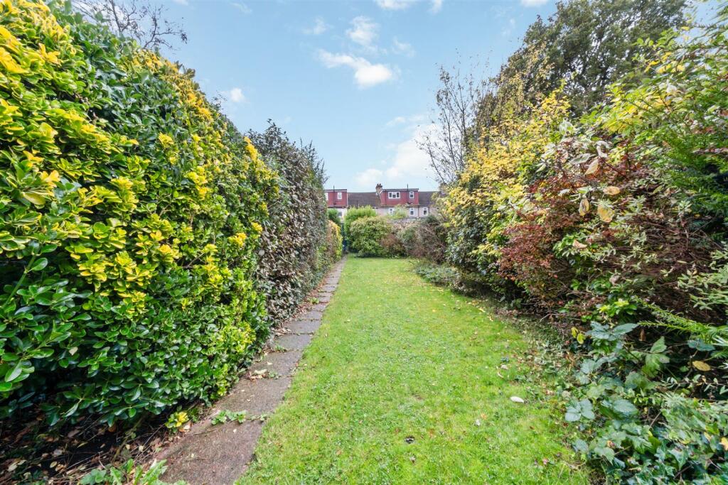 South Facing Garden