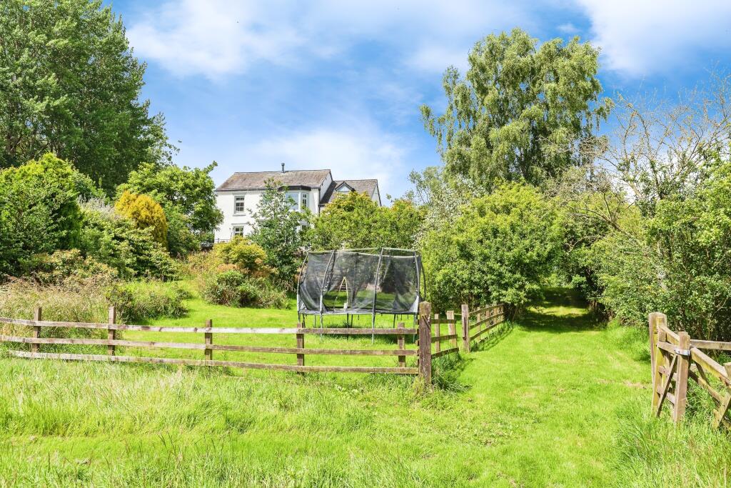 Mature Garden