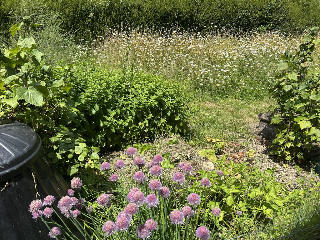 IMG_2075.jpeg