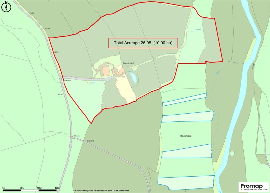 Promap-3082166-3180310-750-0.jpg