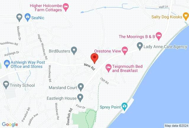 Google Maps Image