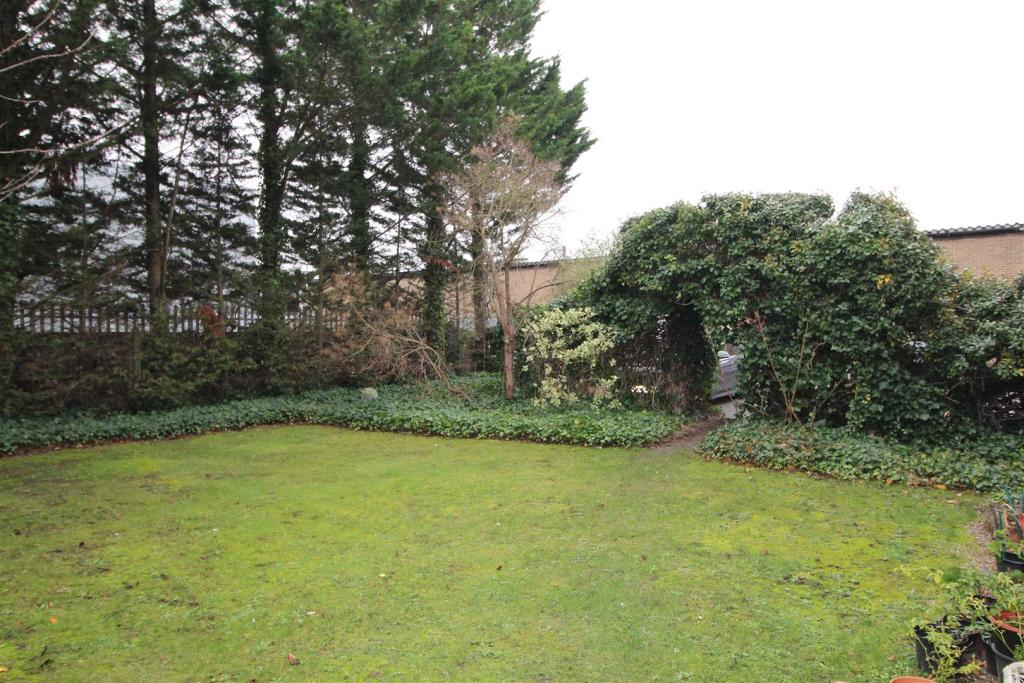 Communal Garden
