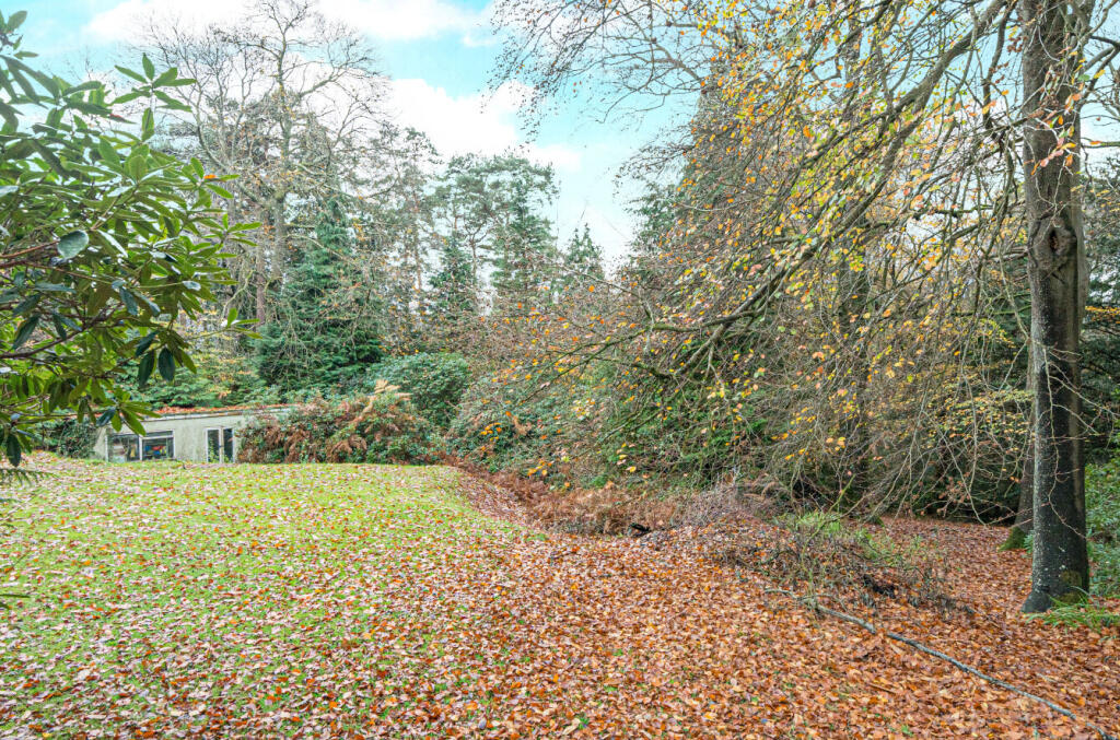 1376562-43-69137d...