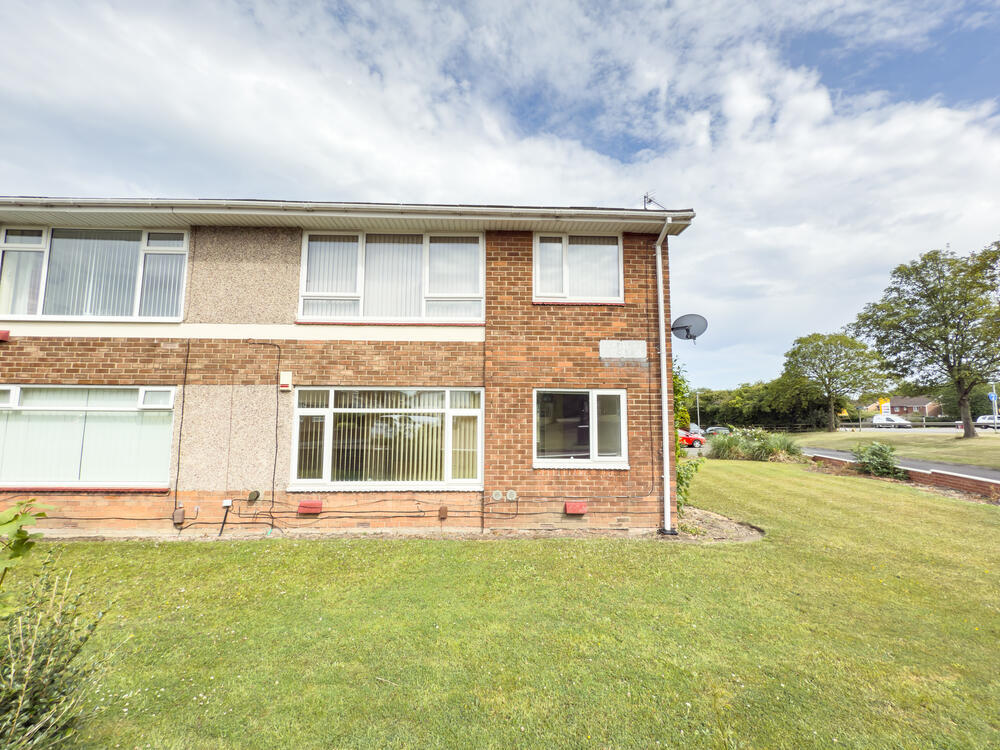 IMG 1114 T202507091809.jpg