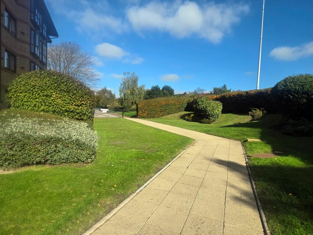 Communal Grounds