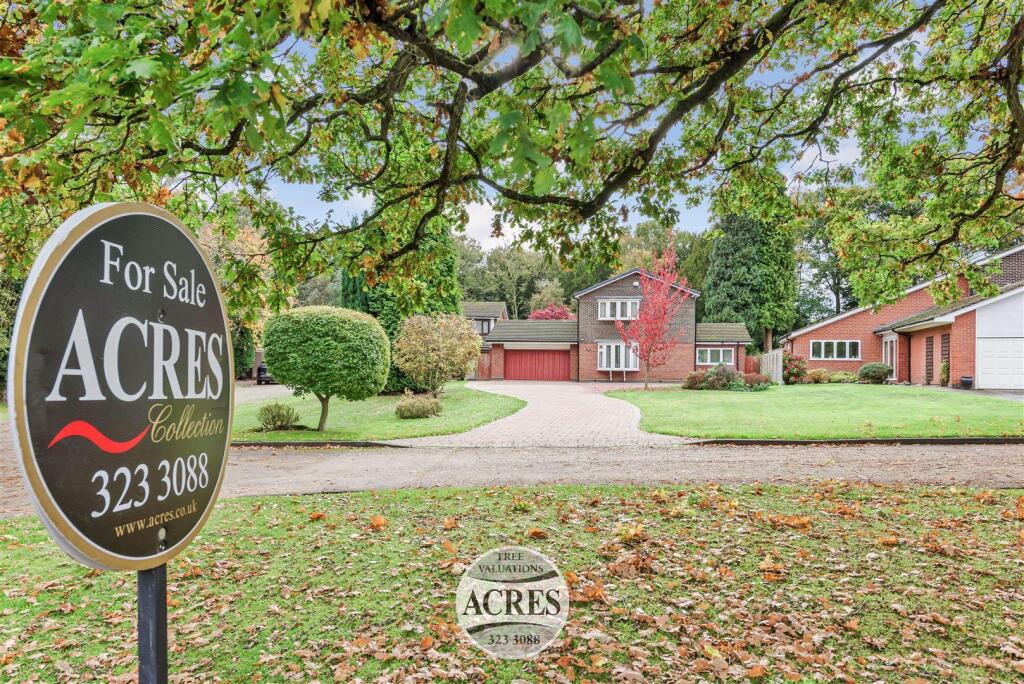 TheSpinney (1) (Large).jpg