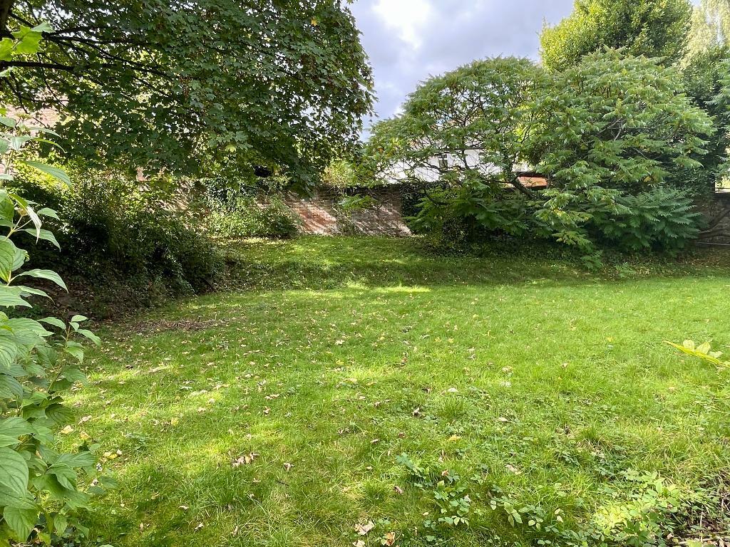 Rear lawn and wall