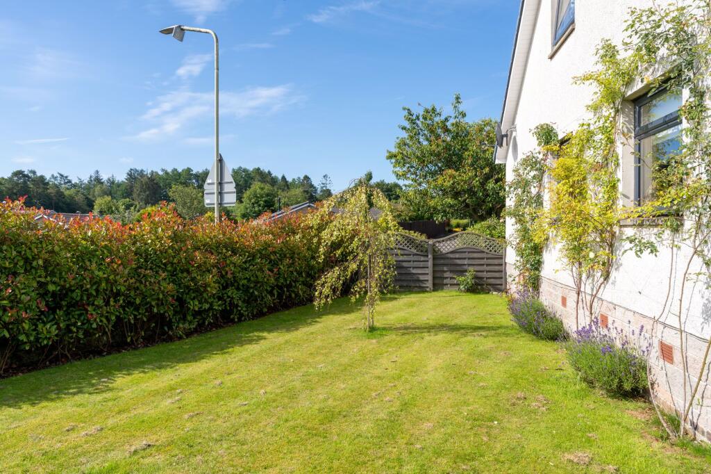 Side garden